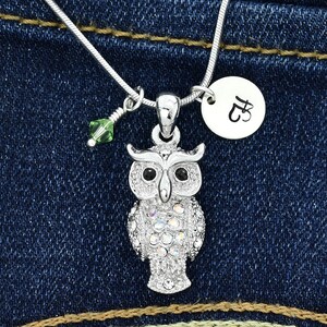 Owl Swarovski Crystal Clear AB Colgante Collar personalizado brillante Collar personalizado estampado a mano Inicial Carta Charm Birthstone Jewelry Chain