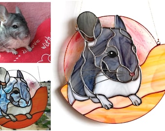 Pet portraits