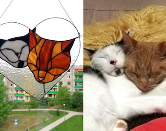 Cat portraits