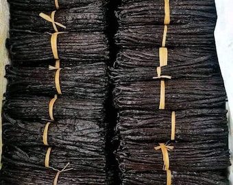Vanille Bourbon de Madagascar 14-17 cm qualité irréprochable : 10 gousses