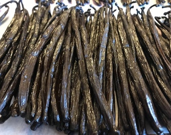 50 Bourbon Vanilla Pods from Madagascar Beans 14 to 16cm premium quality A – preparation year 2023