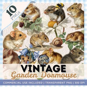 Clipart jardin de souris inspiré vintage | Journal indésirable de style vintage PNG transparents | Graphique mignon de souris | Utilisation commerciale incluse