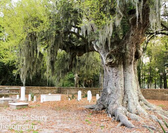 Historic cemetery graveyard photographic print historic Beaufort SC