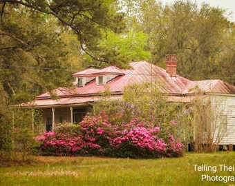 Hitoric House with Pink Azalea Flowers Photographic print historic Beaufort SC