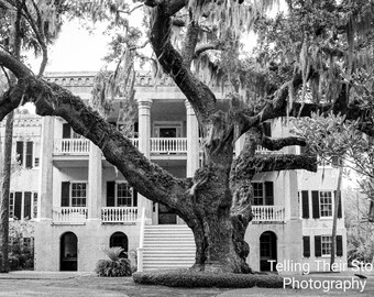 The Castle historic house photographic print historic Beaufort SC
