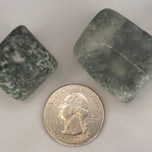 Tree Agate Tumble