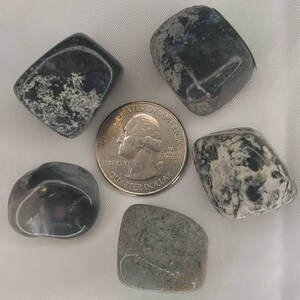 Moss Agate Tumble