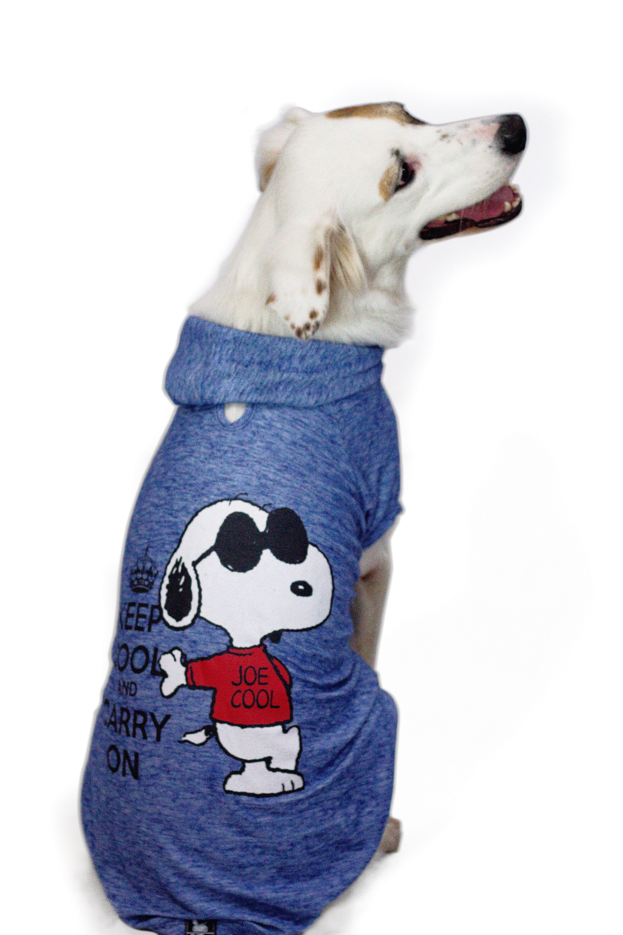 Snoopy Sweater For Dogs
 Dog Hoo Snoopy Dog Pet Pet Clothes Peanuts Blue Dog