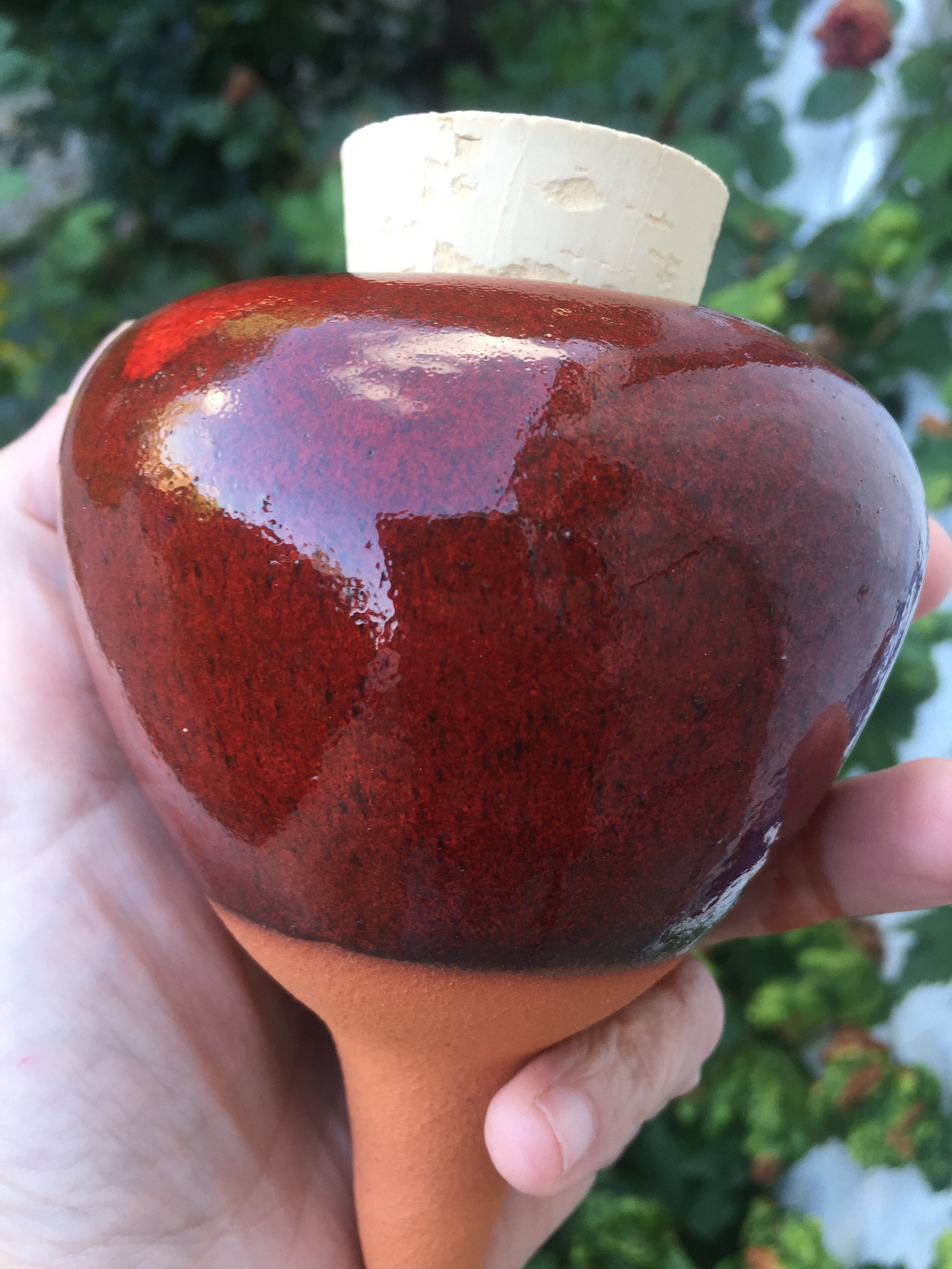 Olla Rouge Cardinal en Précommande