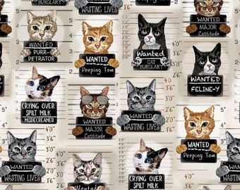 Cats / dogs