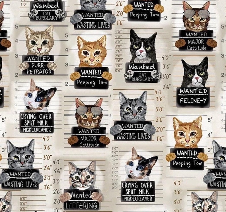 Cat Mug Shot Scrub Cap: Satin Lined option. Euro, euro-pony or men’s 画像 14