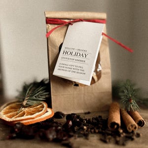 Cottura a fuoco lento per Natale / 10 sacchetti assemblati / Pronti da regalare / Regalo per le feste / Regalo per l'ufficio / Pot-pourri per fornelli / Regalo per insegnanti /