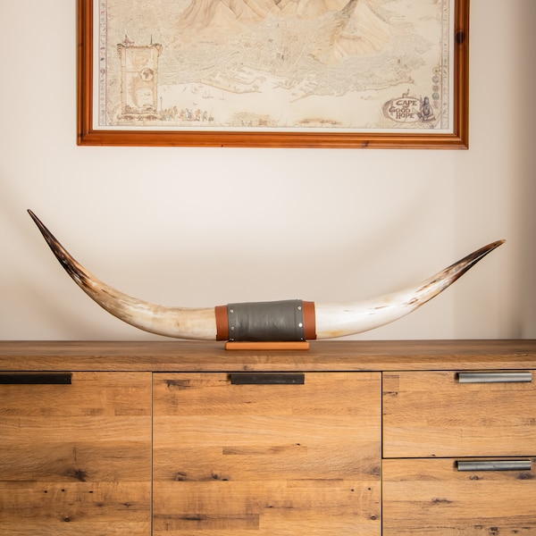Longhorn Wall Mount - Etsy