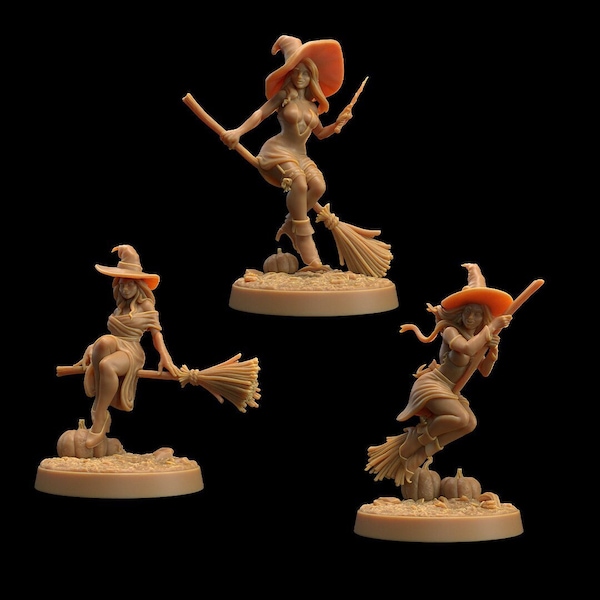 Broomstick Witches | 3D Printed | Dungeons and Dragons | Sorcerer | Mini | Dnd | Miniature | Fantasy | Dragon Trapper's | RPG