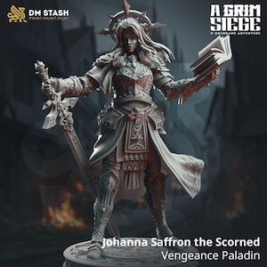 May include: A gray plastic miniature figurine of a female paladin with a sword and a book. The figure is wearing armor and a flowing cloak. The text "Johanna Saffron the Scorned Vengeance Paladin" is printed below the figure.