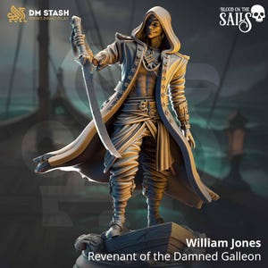 May include: A detailed figurine of William Jones, Revenant of the Damned Galleon, holding a sword. The figure wears a long coat and hooded cloak. The image includes the "Blood on the Sails" logo and the DM STASH logo.