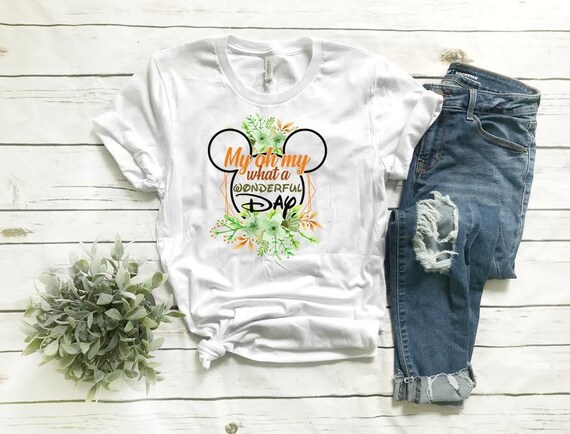splash mountain shirt