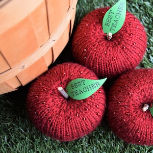 Hand Knit Red Apple Gift: Beaded Teacher Thank You