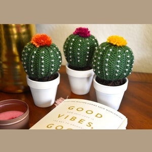 Knit Cactus, Mini Cactus with Beads, Stuffed Cactus in pot, Small Knit Succulent, Fake Succulent