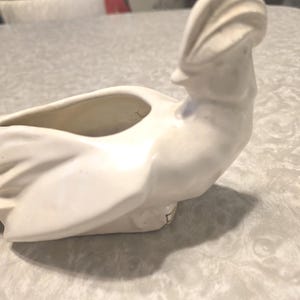 McCoy White Bird of Paradise Long Indoor Planter