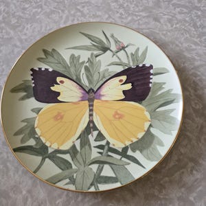 May include: A decorative plate featuring a butterfly design. The butterfly has yellow and dark brown wings with a purple body. The plate has a gold rim and is decorated with green leaves and a pink bud.