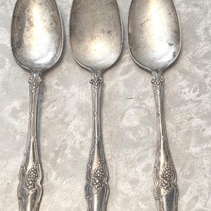 May include: Three silver-toned metal spoons featuring an ornate handle design with embossed grape clusters and vine motifs. Each spoon has a polished oval bowl and a flared, decorative base, showing signs of aged patina and metallic texture.