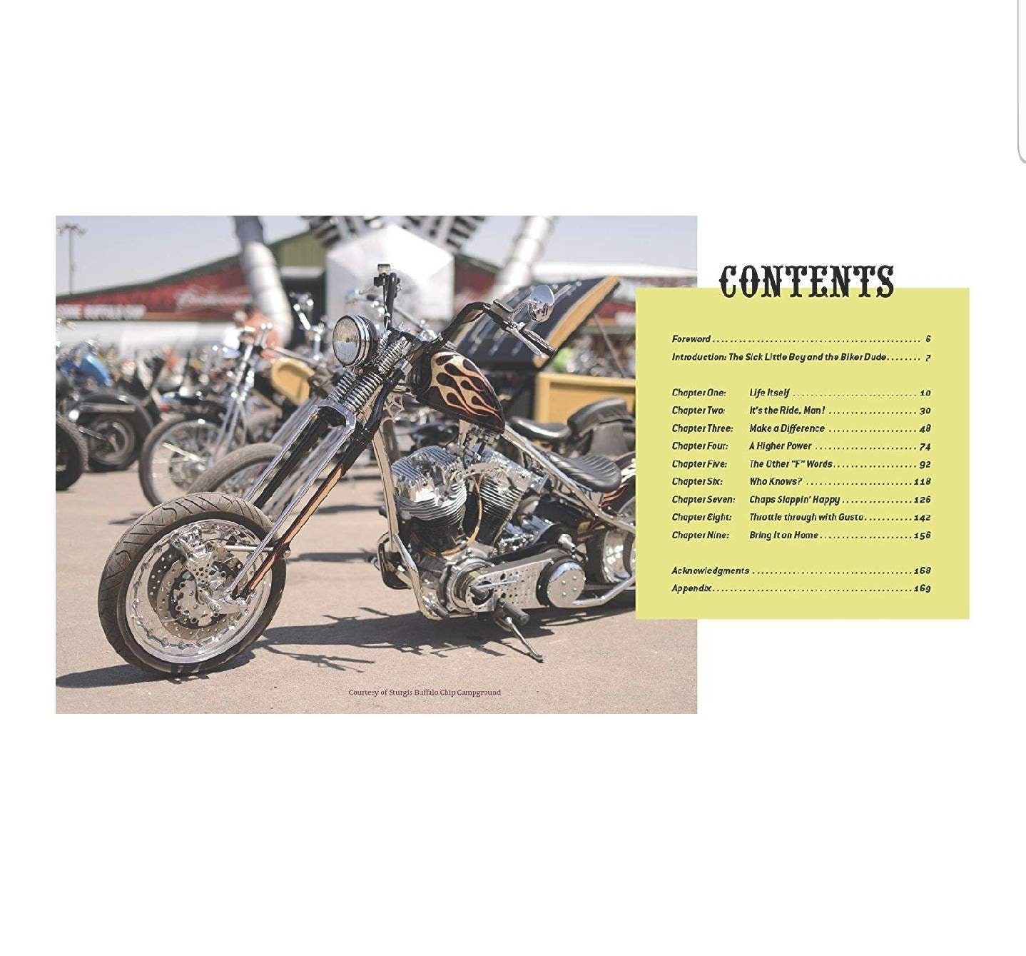 洋書 The Big Book of Biker Flicks 洋書 The Big Book of Biker