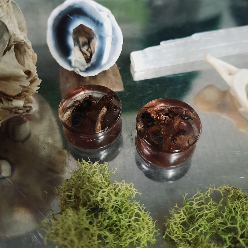 20mm Mushrooms and Bees Plugs