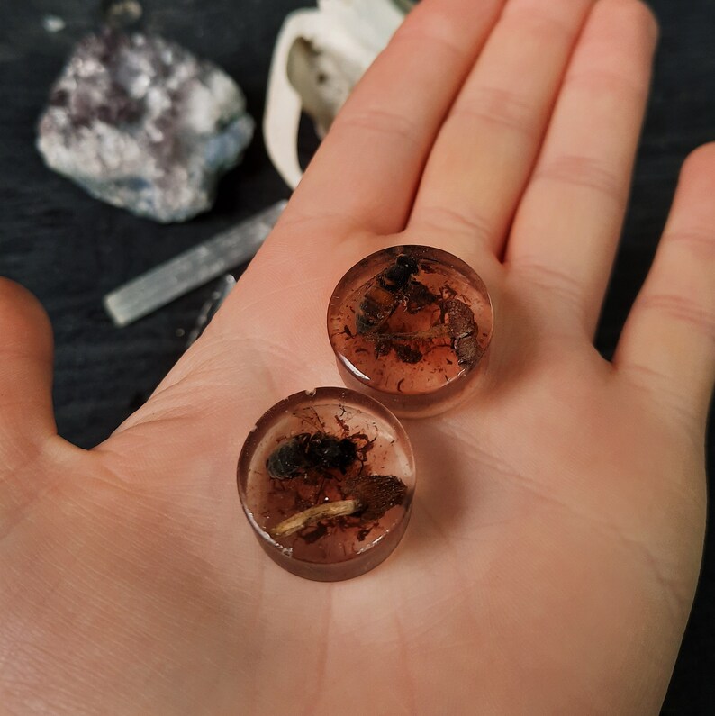 20mm Mushrooms and Bees Plugs