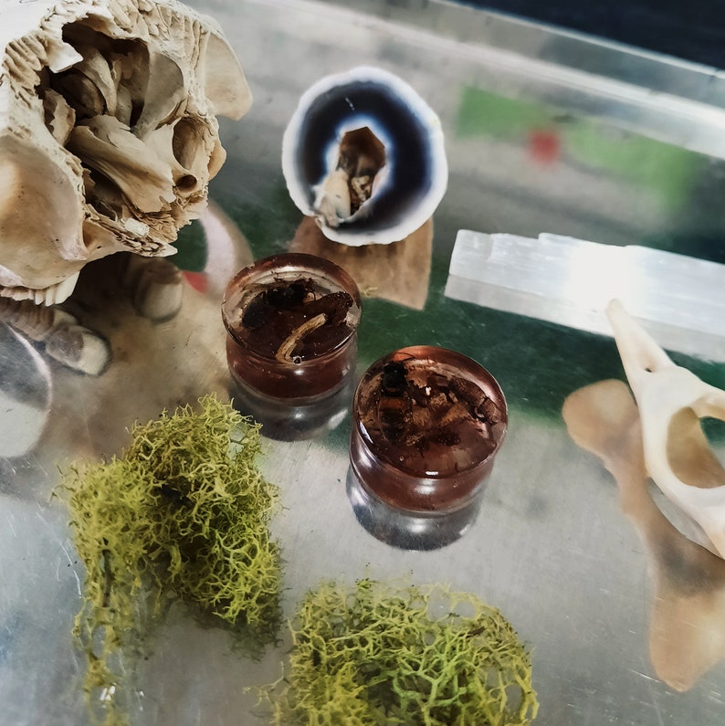 20mm Mushrooms and Bees Plugs