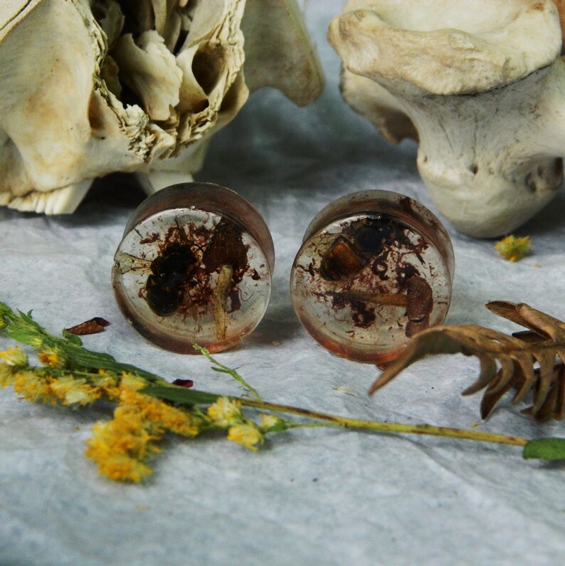 20mm Mushrooms and Bees Plugs