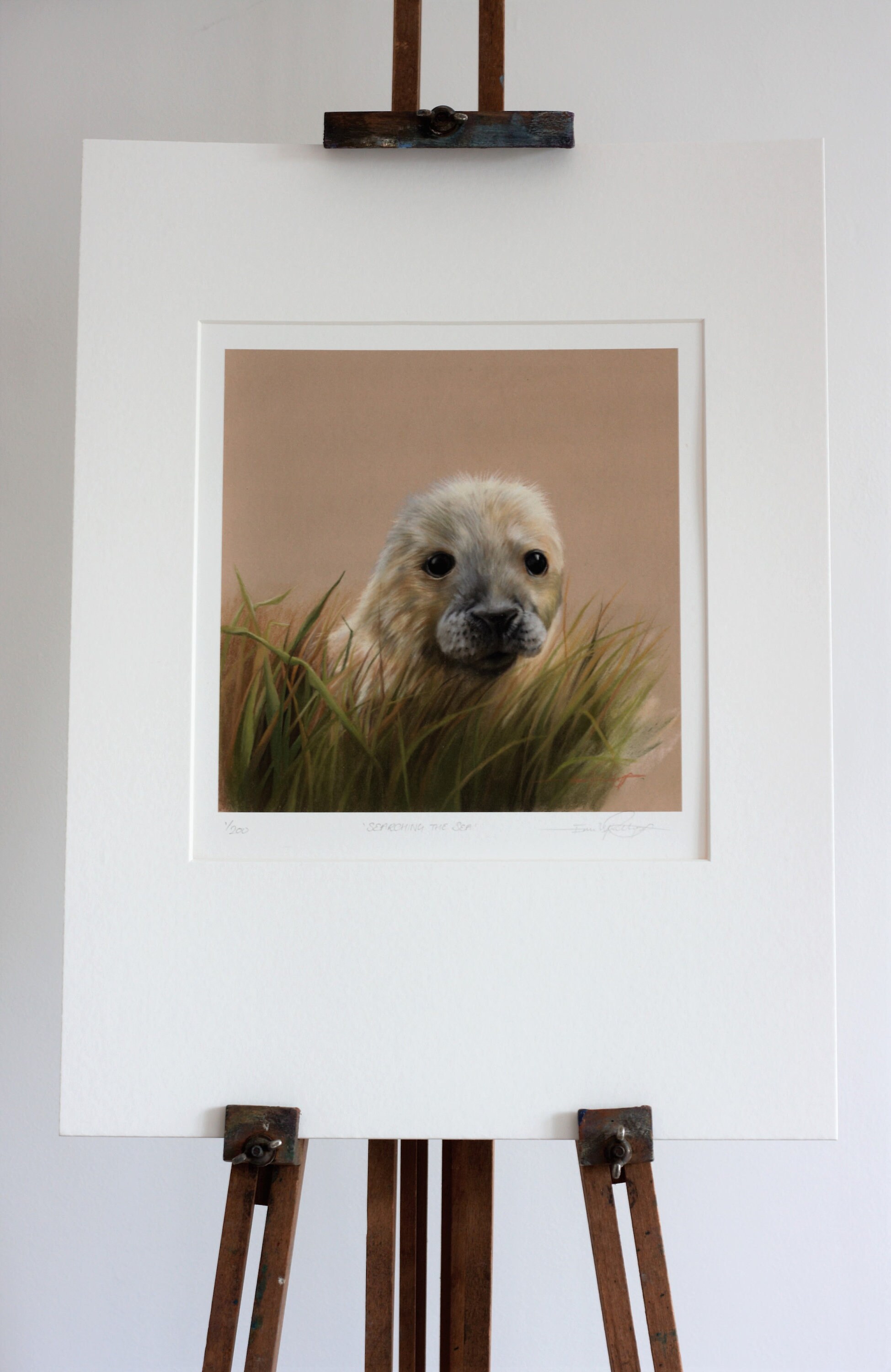 Baby Seal Painting Seal Print Etsy UK