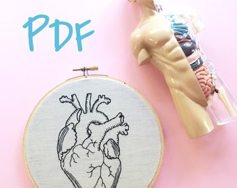 Anatatomically Correct Heart Beginner Hand Embroidery Pattern PDF digital download