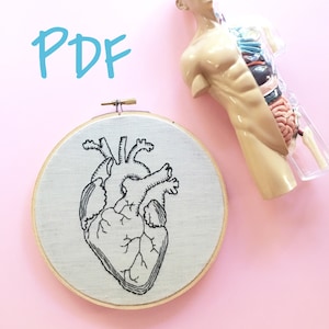 Download digitale PDF del modello di ricamo a mano per principianti con cuore anatomicamente corretto immagine 1