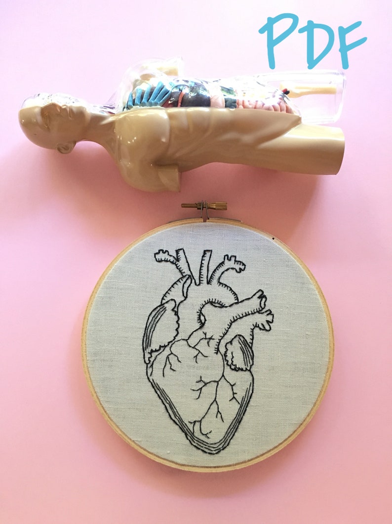 Anatatomically Correct Heart Beginner Hand Embroidery Pattern PDF digital download image 2