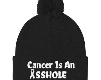 Pom Pom Knit  "Asshole" Cap