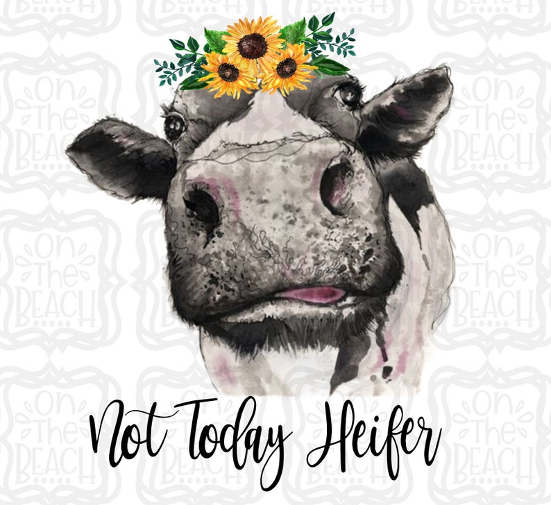 Download Not today Heifer PNG Cow Sunflower Sunflower PNG Instant ...