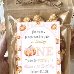 May include: Clear cellophane bags filled with popcorn, tied with twine. Each bag has a pink and white gingham label with pumpkin illustrations and text that reads, "The cutest pumpkin in the patch is turning ONE. Thanks for POPPING by Olivia's 1st Birthday October 12, 2025."
