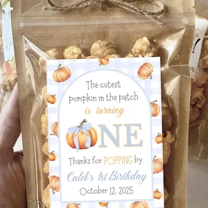 May include: Clear cellophane bag filled with popcorn, tied with twine. A label with a blue gingham border and pumpkin illustrations reads "The cutest pumpkin in the patch is turning ONE. Thanks for POPPING by Caleb's 1st Birthday October 12, 2025."