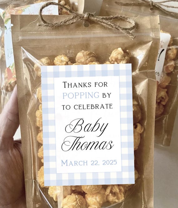 Blue Gingham Baby Shower Favors Classic Gingham Boy Baby Shower Ready to Pop Popcorn Treat Bags Blue Baby Shower Decor Custom Bulk Favors