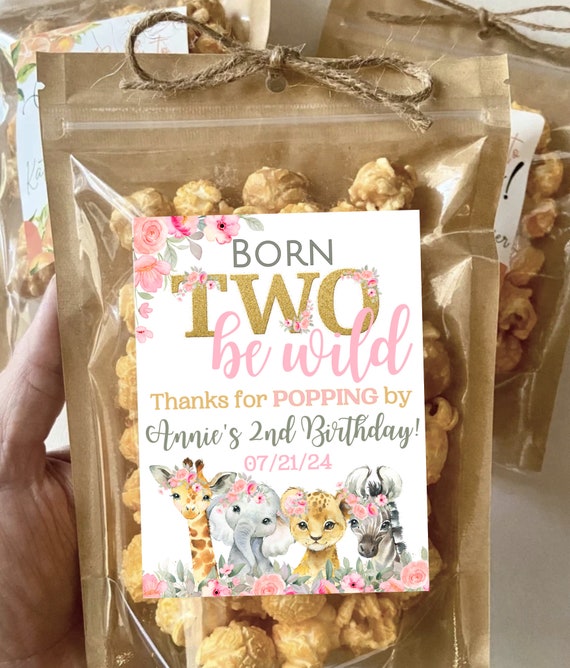 Born Two be Wild Birthday Party Favors Safari Two Wild Girl Birthday Decorations 2nd Birthday Pink Safari Popcorn Treat Bag second birthday