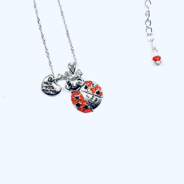 Lady Bug Necklace, Lady Bug Charm, Red Lady Bug, Hand Applied Enamel Eyes and Hearts, I Love You, Heart Charm. Gift for Young Lady.