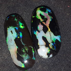21.00 Crt 2Pcs Play Color Pattern Polished Indonesian Opal Wood Fossil