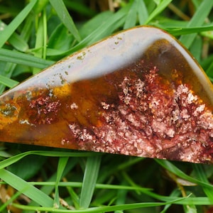 rare indonesian copper petrified wood opal AAA grade