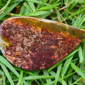 rare indonesian copper petrified wood opal AAA grade