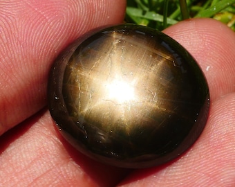 11.9x9.6mm 8.45 carats 6 Ray Natural Black Star Sapphire Loose Gemstone cts Cabochon Wholesale Flowing Gems Corundum September Birthstone