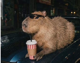 Cool Capybara On Classic Car Drinking Coffee PNG Vintage Night Drive Aesthetic Sublimation Graphic Retro Meme Animal  File Commercial Use