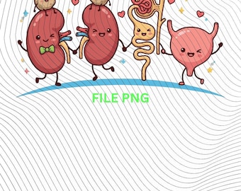 Cute Nephron Kidney Filtration PNG: Doctor Nurse Medical Renal Anatomy png Nephrology Science Illustration (Digital Download)