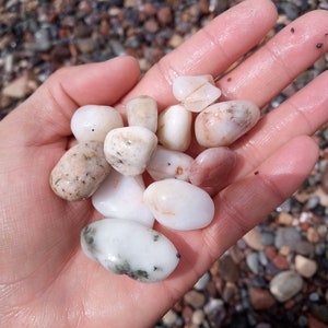 50 Wunderbare und schöne Steine vom Strand Aglou Tiznit Marokko, Felsen Atlantik Mittel Suze Beach Stones