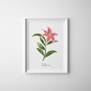 Star Gazer Lily Fine Art Print, Personalized Hand Illustration with Name, Botanical Print, Giclee Floral Print, Bedroom Wall Home Teen Decor